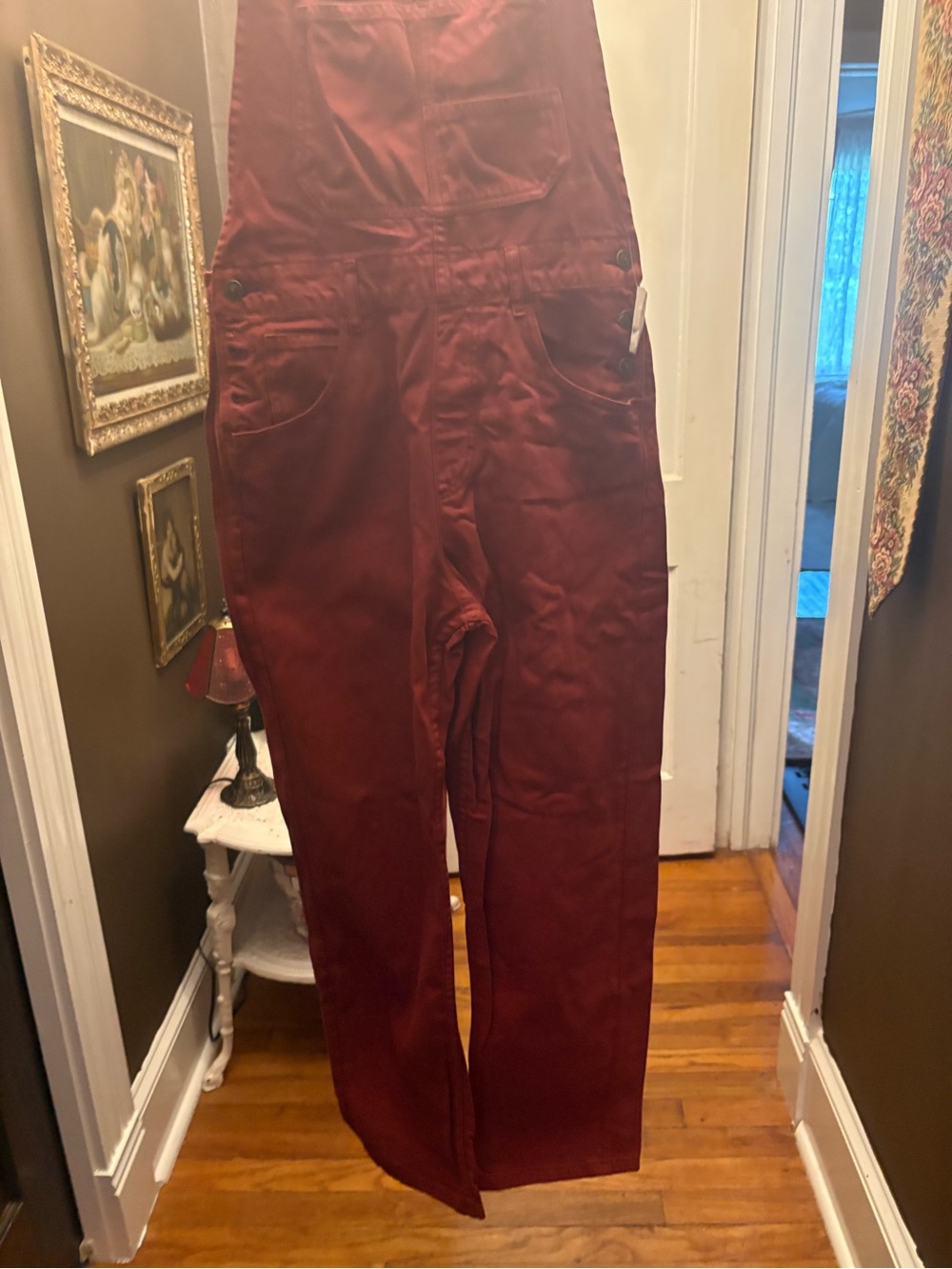 Free People Burgundy Denim Overalls